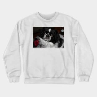 My Name Is Lucky Crewneck Sweatshirt